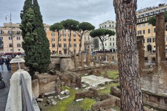 This site where Caesar was killed is now Torre Argentina Cat Sanctuary.