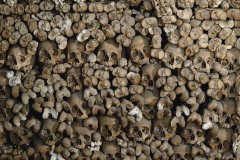 Very memorable experience.