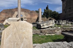 Forum ruins, beautifully random.