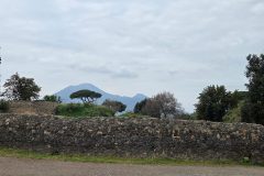 To this day, Mount Vesuvius is still looming in the background.