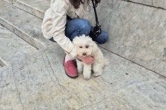 Someone ran up to me, wanting to be friends.