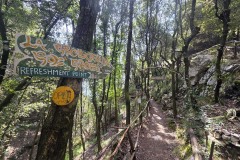A charming stop near the end of the hike, with much needed fresh lemonade.