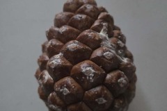 I was very excited to buy a cone full of pine nuts, but it was a lot of work to get them out.