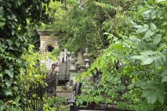 Bellu Cemetary was fascinating and wild, with something different around every corner.